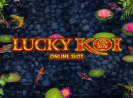 Lucky Koi